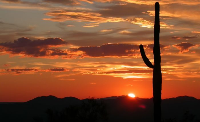 Arizona Sunset