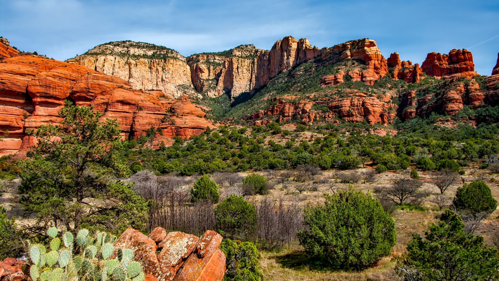 A scenic view of Arizona desert landscape in the spring with tall red plateaus and green cacti